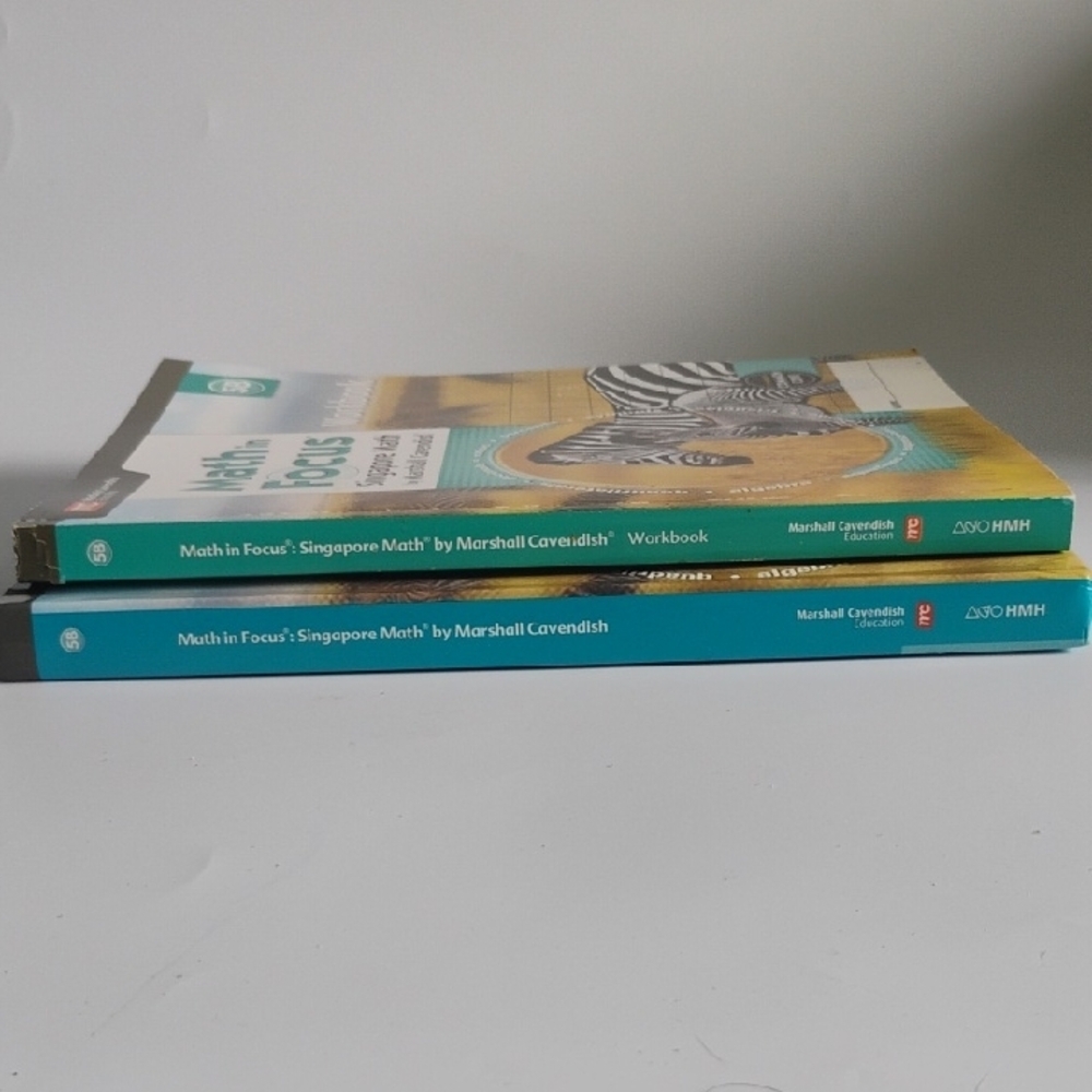 5B Singapore Math Common Core Math in Focus Textbook Workbook Set 5th Grade Math - Picture 3 of 3